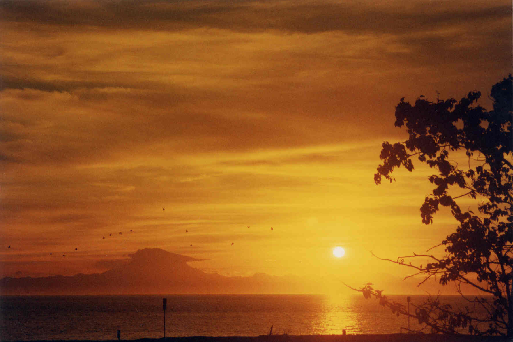 Sunset Alaska